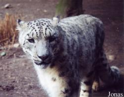 Zoologischer Garten Karlsruhe