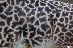 Zoo Basel