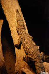Zoo Basel