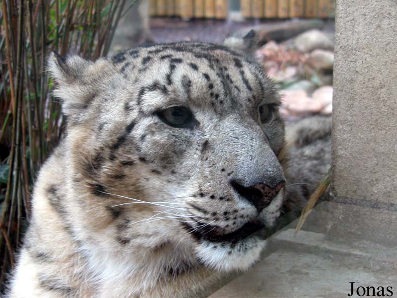 Zoologischer Garten Karlsruhe