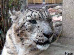 Zoologischer Garten Karlsruhe