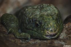 Zoo Basel