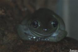 Zoo Basel