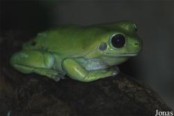 Zoo Basel
