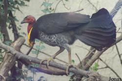 Zoo Basel