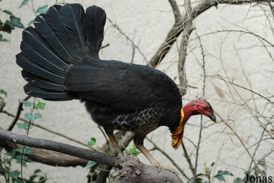 Zoo Basel