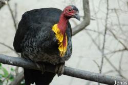 Zoo Basel