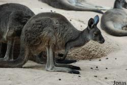 Zoo Basel