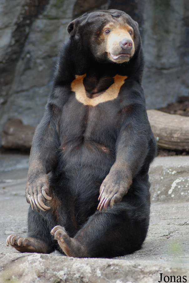Zoo Basel