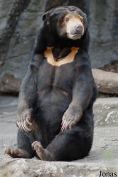 Zoo Basel