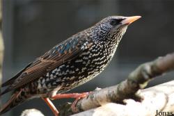 Solinger Vogel- und Tierpark