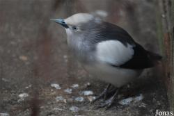 Solinger Vogel- und Tierpark