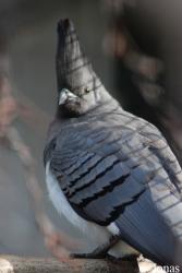 Solinger Vogel- und Tierpark