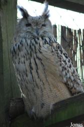 Solinger Vogel- und Tierpark