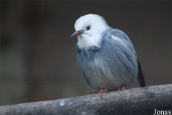 Solinger Vogel- und Tierpark