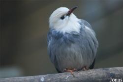 Solinger Vogel- und Tierpark