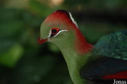 Zoo Basel
