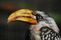 Solinger Vogel- und Tierpark