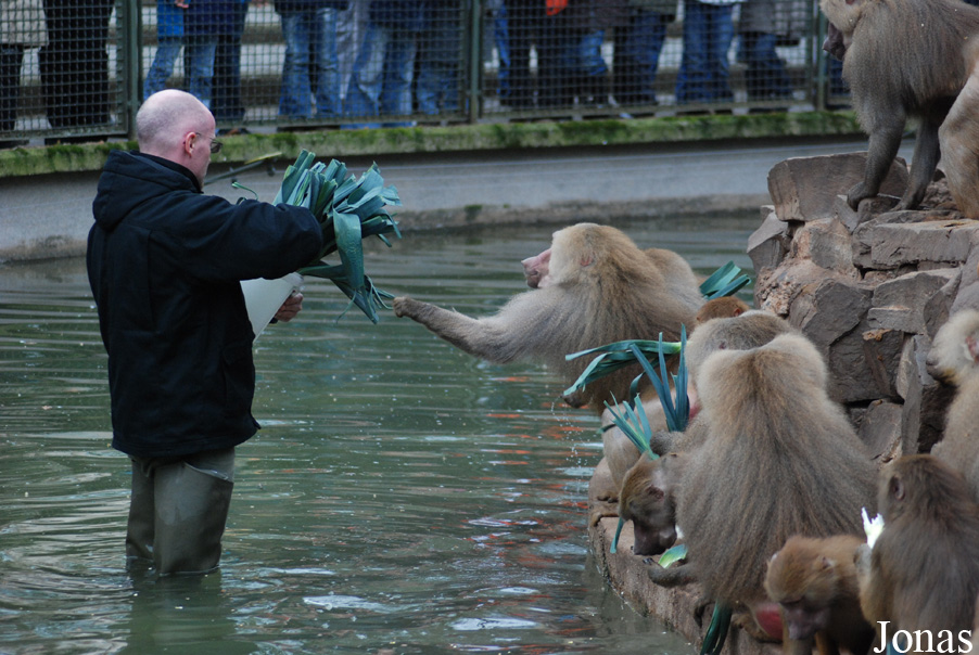 Zoo Köln