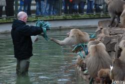 Zoo Köln