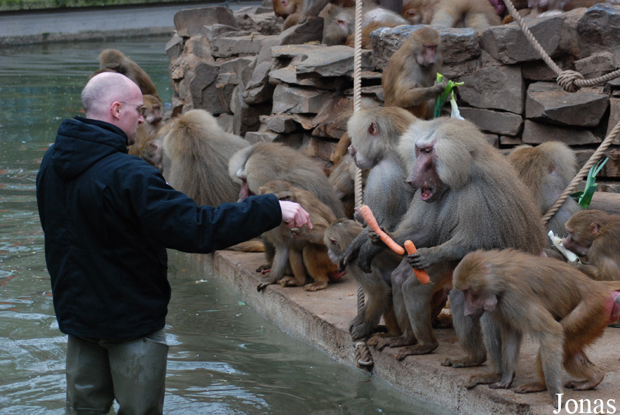Zoo Köln