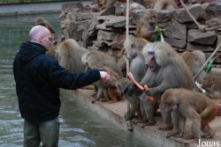Zoo Köln