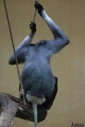 Zoo Köln