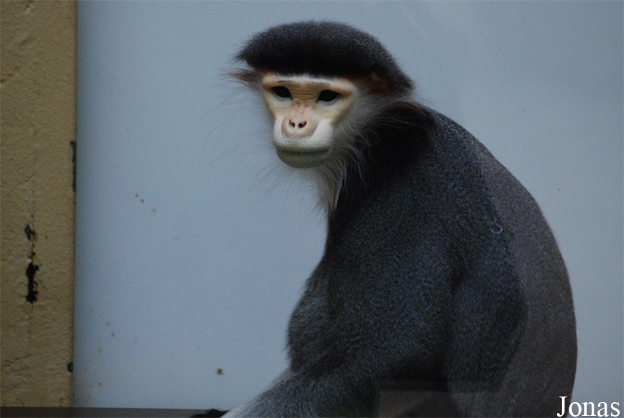 Zoo Köln