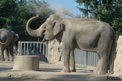 Krefelder Zoo
