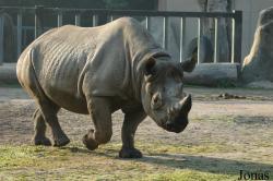 Krefelder Zoo