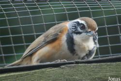 Solinger Vogel- und Tierpark