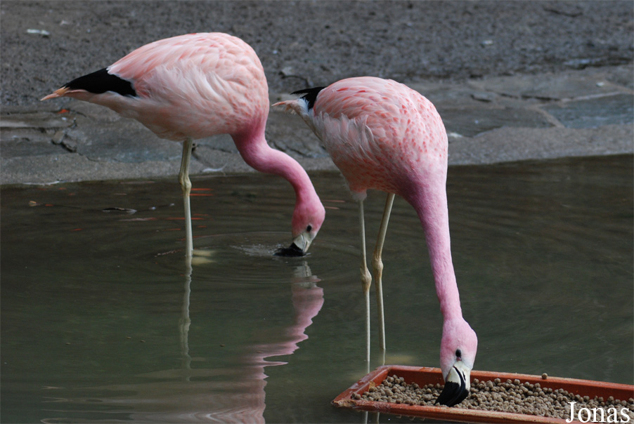 Zoo Wuppertal