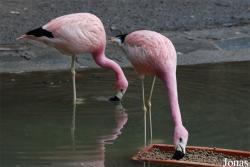 Zoo Wuppertal