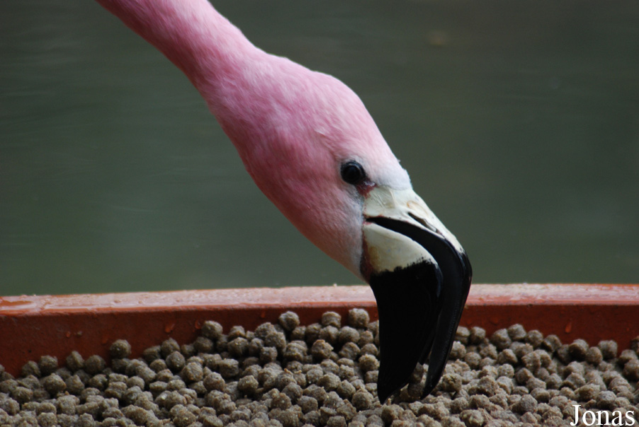 Zoo Wuppertal