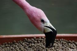 Zoo Wuppertal