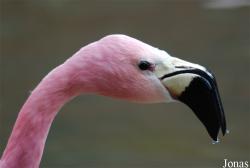 Zoo Wuppertal