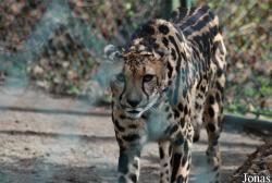 Zoo Wuppertal