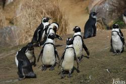 Zoo Wuppertal