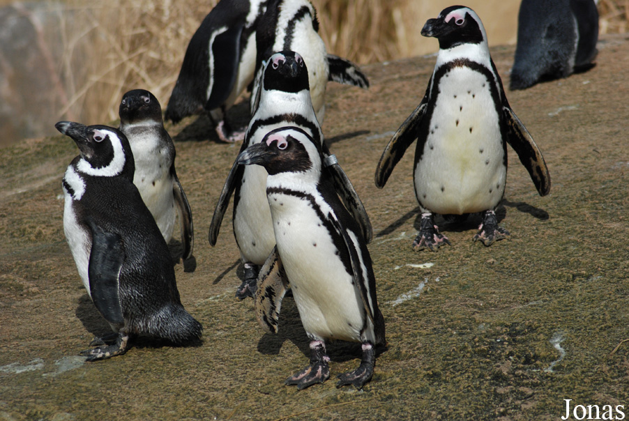 Zoo Wuppertal