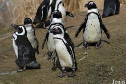 Zoo Wuppertal