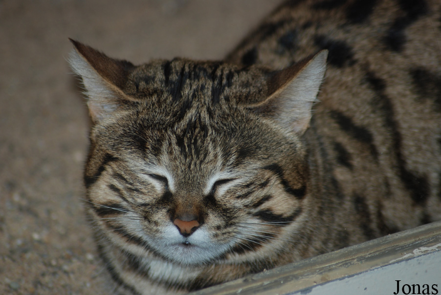 Zoo Wuppertal