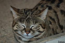 Zoo Wuppertal