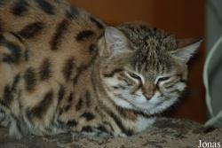 Zoo Wuppertal