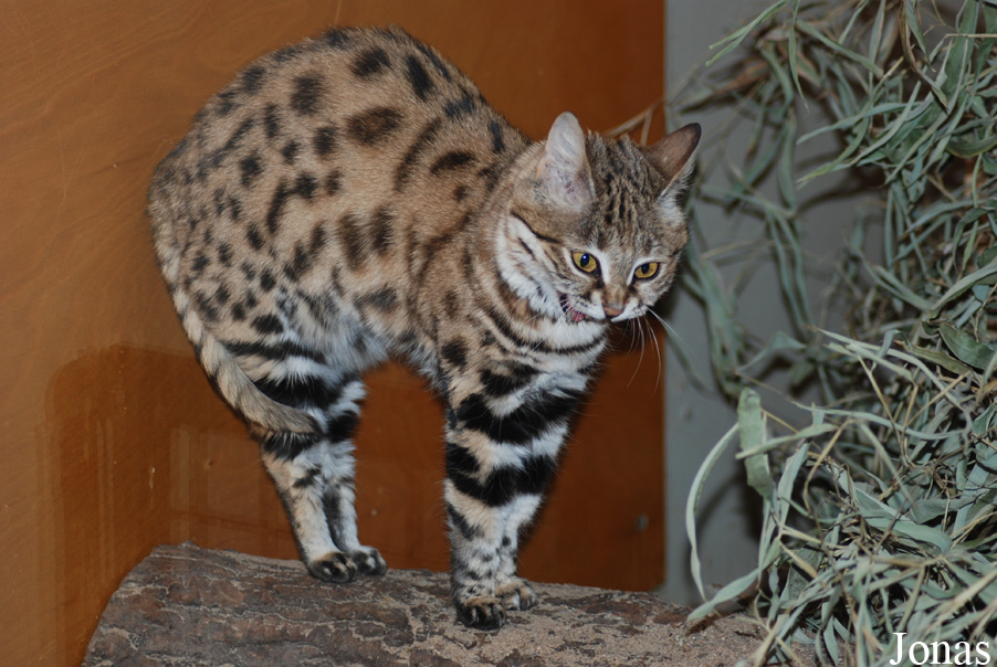 Zoo Wuppertal