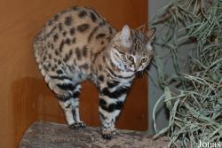 Zoo Wuppertal