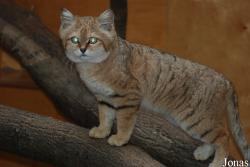 Zoo Wuppertal