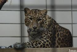 Zoo Wuppertal