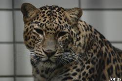 Zoo Wuppertal