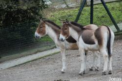 Zoo Wuppertal