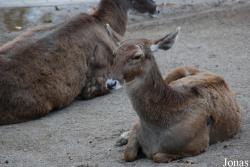 Zoo Wuppertal